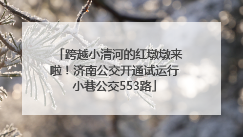 跨越小清河的红墩墩来啦！济南公交开通试运行小巷公交553路