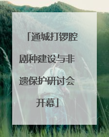 通城打锣腔剧种建设与非遗保护研讨会开幕