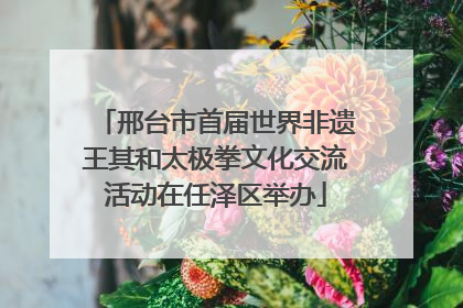 邢台市首届世界非遗王其和太极拳文化交流活动在任泽区举办