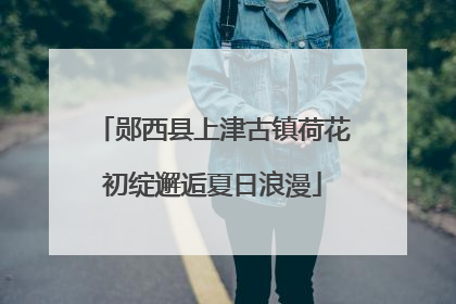 郧西县上津古镇荷花初绽邂逅夏日浪漫