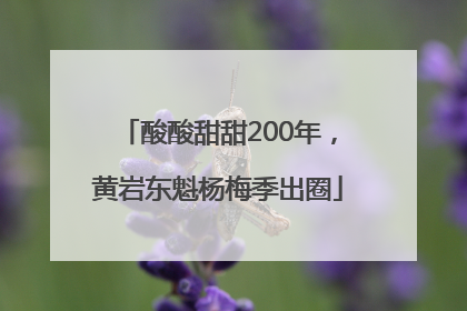 酸酸甜甜200年，黄岩东魁杨梅季出圈