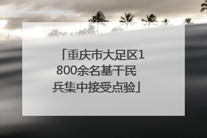 重庆市大足区1800余名基干民兵集中接受点验