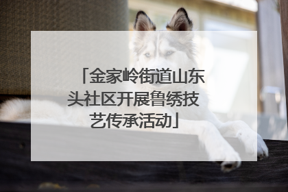 金家岭街道山东头社区开展鲁绣技艺传承活动
