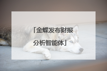 金蝶发布财报分析智能体