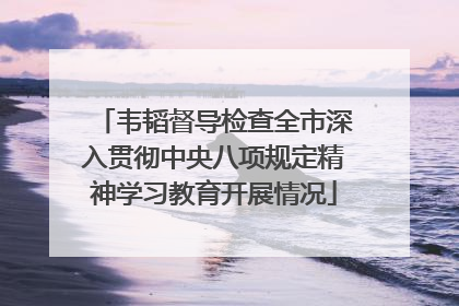 韦韬督导检查全市深入贯彻中央八项规定精神学习教育开展情况