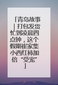 青岛故事｜打包发货忙到凌晨四点钟，这个假期崔家集小西红柿加倍“受宠”