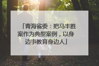 青海省委：把马丰胜案作为典型案例，以身边事教育身边人