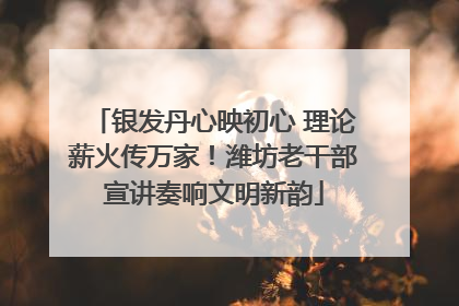 银发丹心映初心 理论薪火传万家！潍坊老干部宣讲奏响文明新韵