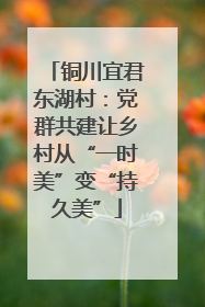 铜川宜君东湖村：党群共建让乡村从“一时美”变“持久美”