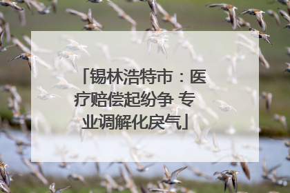 锡林浩特市：医疗赔偿起纷争 专业调解化戾气