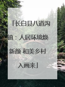 长白县八道沟镇：人居环境焕新颜 和美乡村入画来