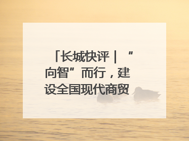 长城快评｜“向智”而行，建设全国现代商贸物流重要基地