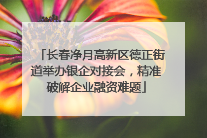 长春净月高新区德正街道举办银企对接会，精准破解企业融资难题