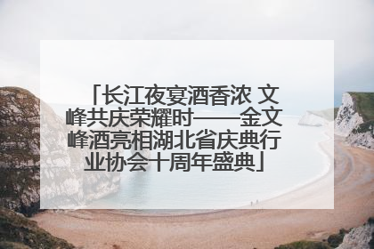 长江夜宴酒香浓 文峰共庆荣耀时——金文峰酒亮相湖北省庆典行业协会十周年盛典