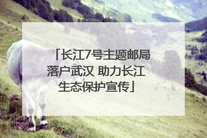 长江7号主题邮局落户武汉 助力长江生态保护宣传