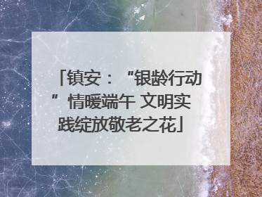 镇安：“银龄行动”情暖端午 文明实践绽放敬老之花