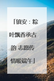 镇安：粽叶飘香承古韵 志愿传情暖端午