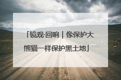 镜观·回响｜像保护大熊猫一样保护黑土地