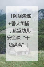 防暴演练+警犬缉捕，这堂幼儿安全课“干货满满”