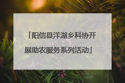 阳信县洋湖乡科协开展助农服务系列活动