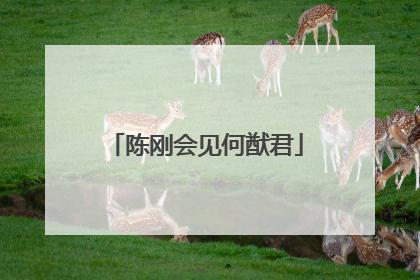 陈刚会见何猷君