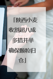 陕西小麦收割超八成 多措并举确保颗粒归仓