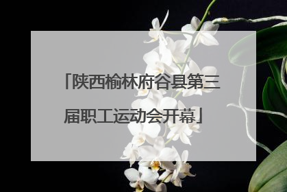 陕西榆林府谷县第三届职工运动会开幕