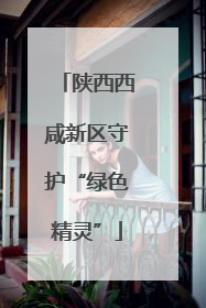 陕西西咸新区守护“绿色精灵”