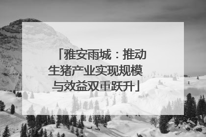 雅安雨城：推动生猪产业实现规模与效益双重跃升