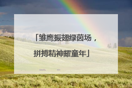 雏鹰振翅绿茵场，拼搏精神耀童年