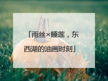 雨丝×睡莲，东西湖的油画时刻