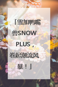 雪加鸭嘴兽SNOWPLUS，卷起潮流风暴！