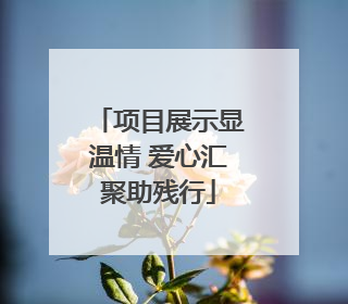 项目展示显温情 爱心汇聚助残行