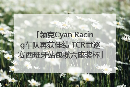 领克Cyan Racing车队再获佳绩 TCR世巡赛西班牙站包揽六座奖杯