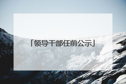领导干部任前公示