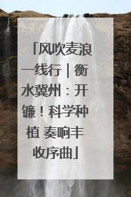 风吹麦浪一线行｜衡水冀州：开镰！科学种植 奏响丰收序曲