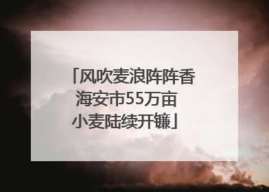 风吹麦浪阵阵香 海安市55万亩小麦陆续开镰