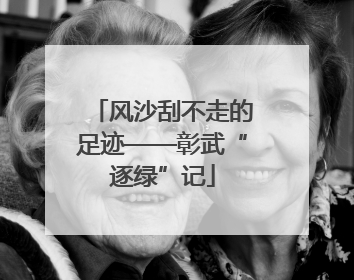 风沙刮不走的足迹——彰武“逐绿”记