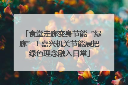 食堂走廊变身节能“绿廊”！嘉兴机关节能展把绿色理念融入日常