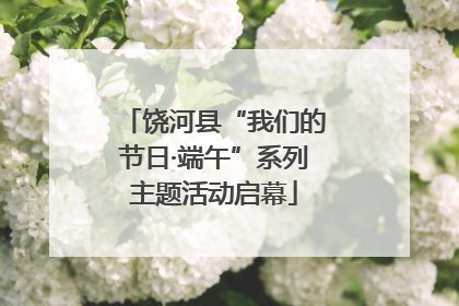 饶河县“我们的节日·端午”系列主题活动启幕