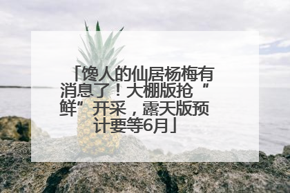 馋人的仙居杨梅有消息了！大棚版抢“鲜”开采，露天版预计要等6月