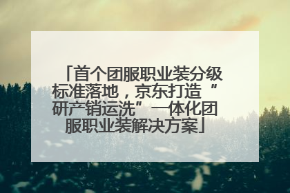 首个团服职业装分级标准落地，京东打造“研产销运洗”一体化团服职业装解决方案