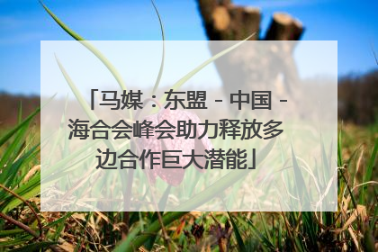 马媒：东盟－中国－海合会峰会助力释放多边合作巨大潜能