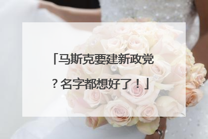 马斯克要建新政党？名字都想好了！