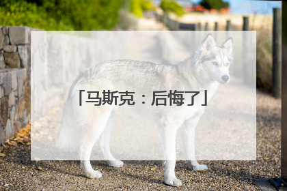 马斯克：后悔了