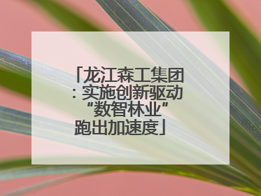 龙江森工集团：实施创新驱动 “数智林业”跑出加速度