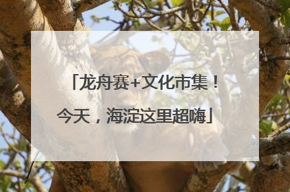 龙舟赛+文化市集！今天，海淀这里超嗨