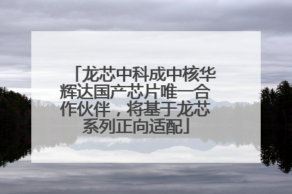 龙芯中科成中核华辉达国产芯片唯一合作伙伴，将基于龙芯系列正向适配