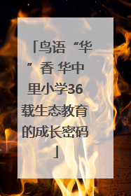 鸟语“华”香 华中里小学36载生态教育的成长密码
