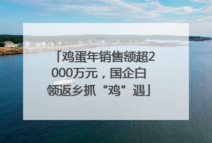 鸡蛋年销售额超2000万元，国企白领返乡抓“鸡”遇